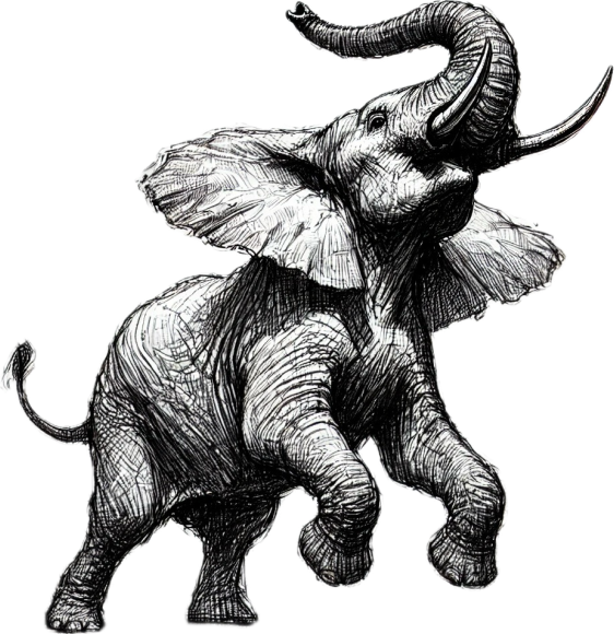 Sosyal Medya Yönetimi